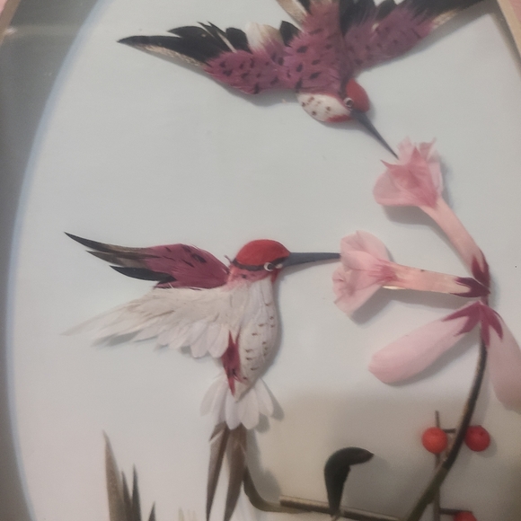 Vintage Framed Hummingbird Feather Art - Picture 3 of 3